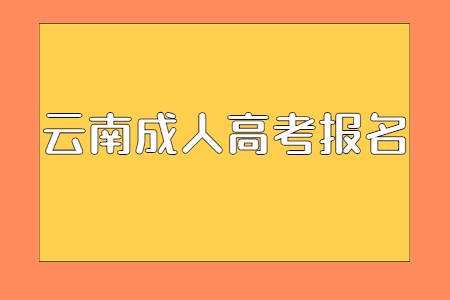 云南成人高考報名