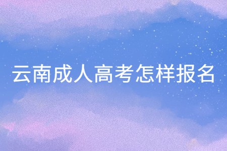 云南成人高考怎樣報(bào)名
