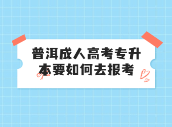 普洱成考專升本報(bào)名