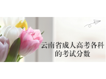 云南省成人高考考試分?jǐn)?shù)