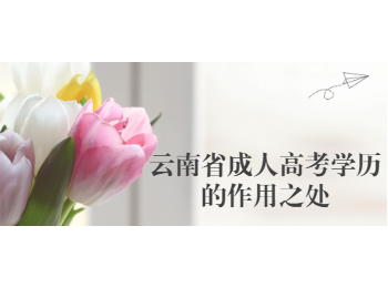 云南省成人高考學(xué)歷