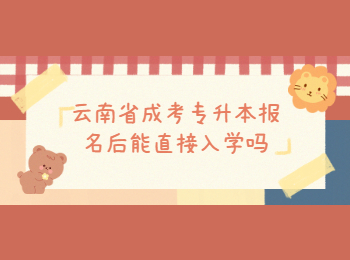 云南省成考專升本報名