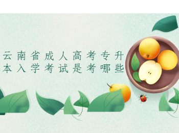 云南省成人高考專升本入學考試