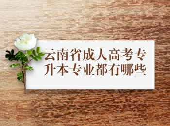 云南省成人高考專升本專業