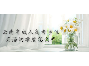 云南省成人高考學位英語