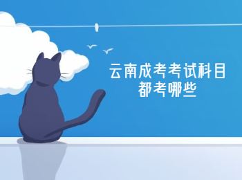 云南成考考試科目