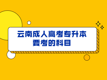 云南成人高考專(zhuān)升本