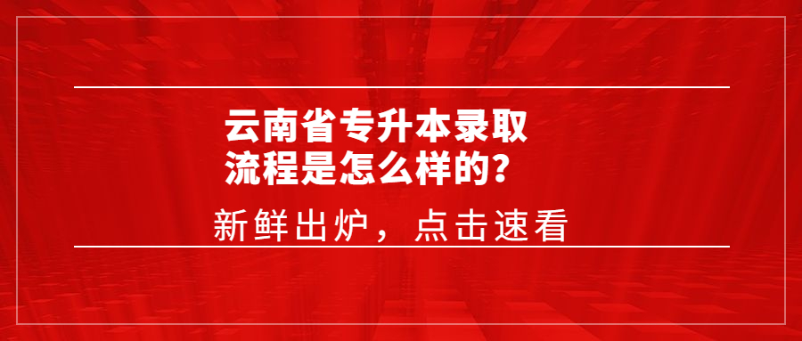 云南省專升本錄取流程是怎么樣的？