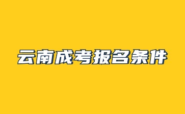 2024年云南成考報(bào)名需要滿足什么條件?