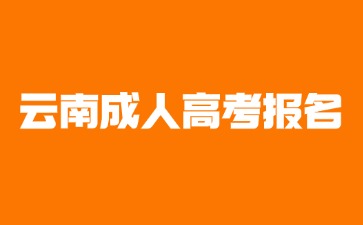 2024年云南成人高考有哪些報名專業？