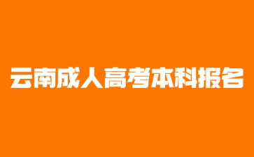 2024年云南成人高考本科報(bào)名要提供哪些材料?